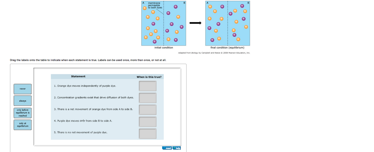 Solved: Drag The Labels Onto The Table To Indicate When Ea... | Chegg.com