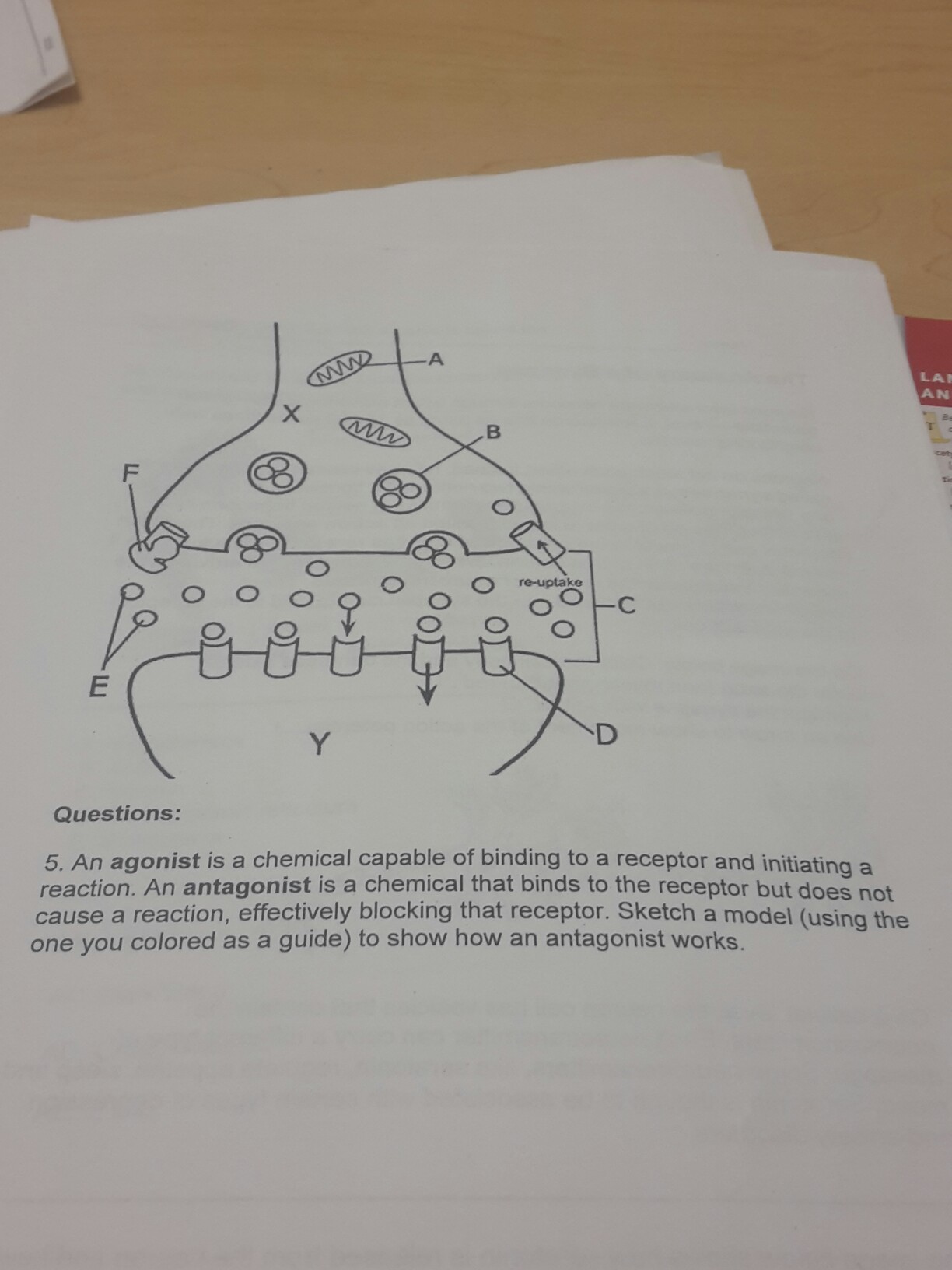 The Silent Antagonist: Working While You Sleep - 9odi3l5