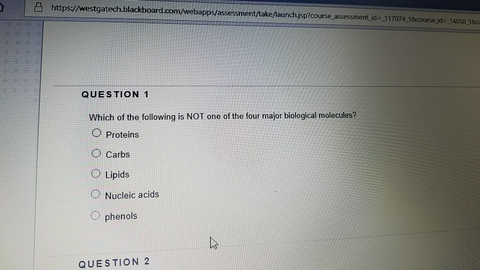 Why are biomolecules important image
