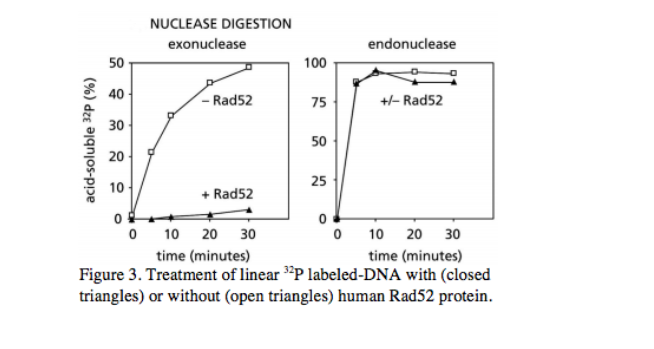 Question: . In a study by Van Dyck et al. (1999), purified humanRad52 protein, which is important for DSB ...