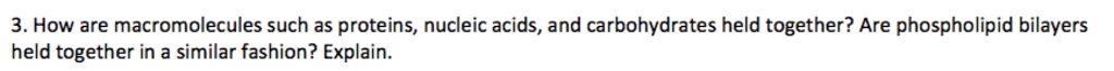 Question: 3. How are macromolecules such as proteins, nucleic acids, and carbohydrates held together? Are p...