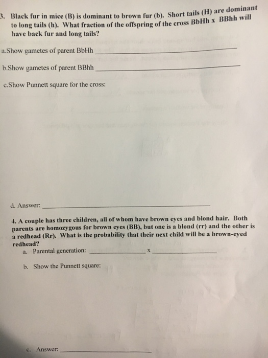 Question: Black fur in mice (B) is dominant to brown fur (b). Short tails (H) are dominant to long tails (h...