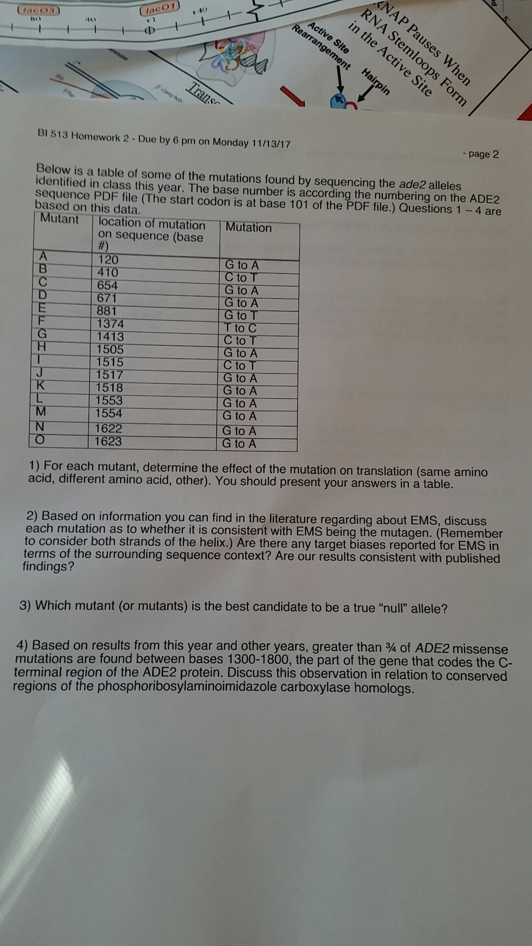 Question: Hey This is Genetics. I really need help with numbers 1 to 4.Detailed explanation would help. Th...