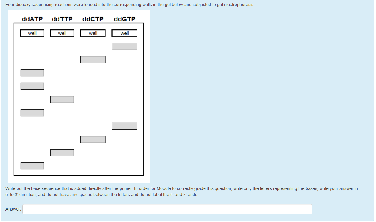 Question: Four dideoxy sequencing reactions were loaded into thecorresponding wells in the gel below and s...