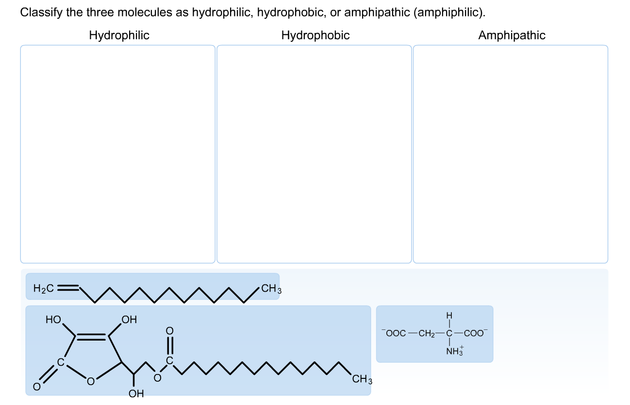 Solved Classify The Three Molecules As Hydrophilic, Hydro...