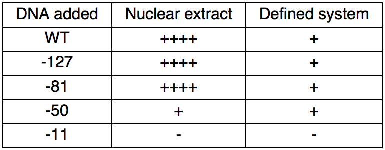 Question: You are interested in studying eukaryotic transcription factorsand have developed an in vitro tr...