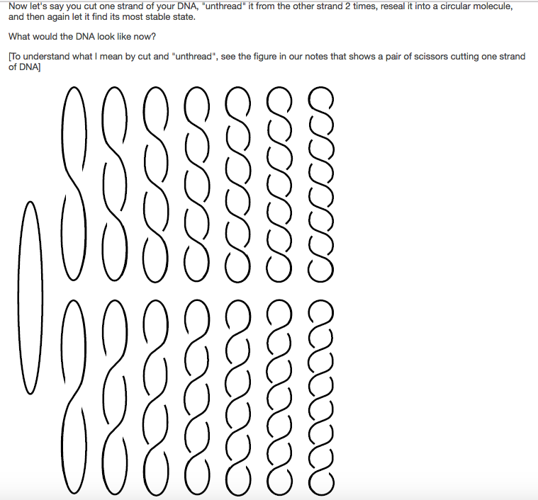 Question: Now let's say you cut one strand of your DNA, "unthread" it from the other strand 2 times, reseal...