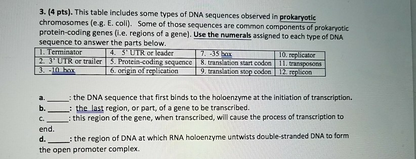 Question: This table includes some types of DNA sequences observed in prokaryotic chromosomes (e.g. E. coli...