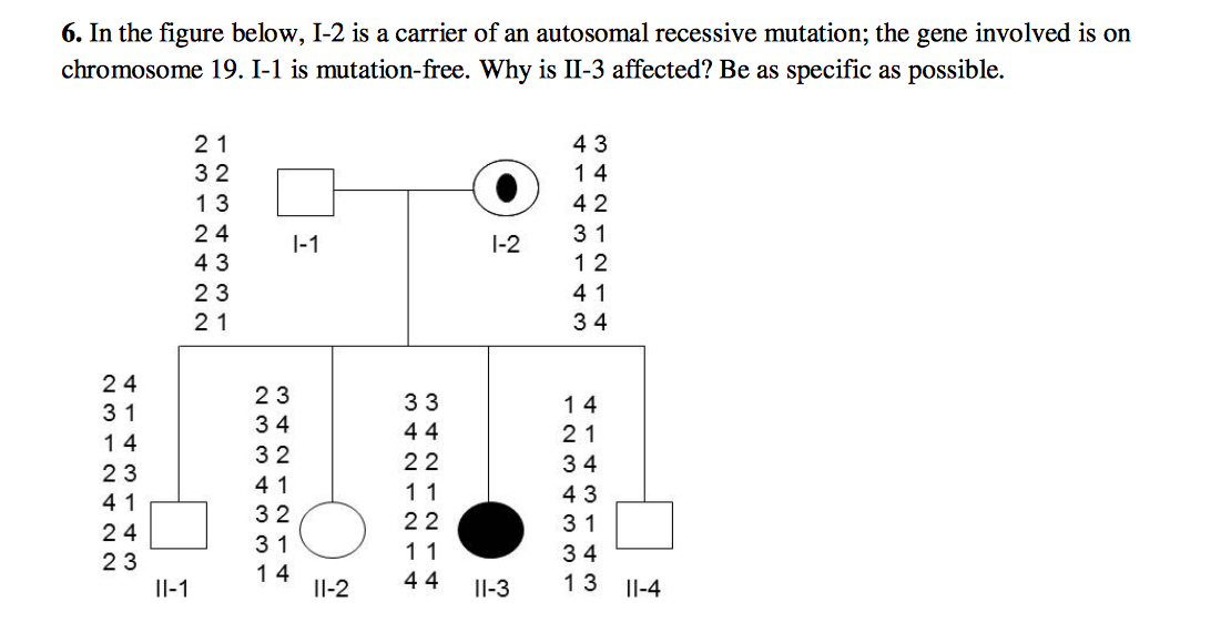 Question: In the figure below, 1-2 is a carrier of an autosomal recessive mutation; the gene involved is on...