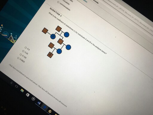 Question: QUESTION s A and B in the 30