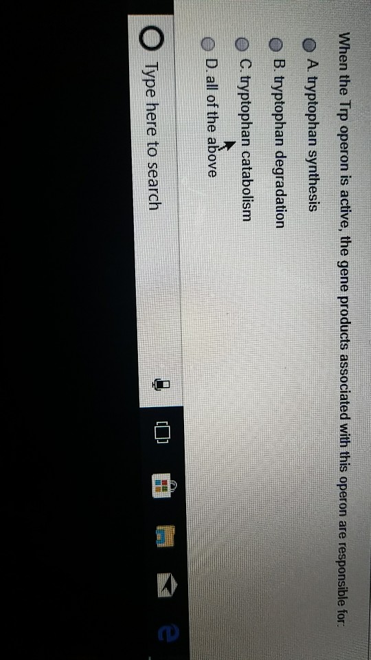 Question: Which of the following is NOT associated with mRNA processing in eukaryotic cells? O A 3 polyaden...