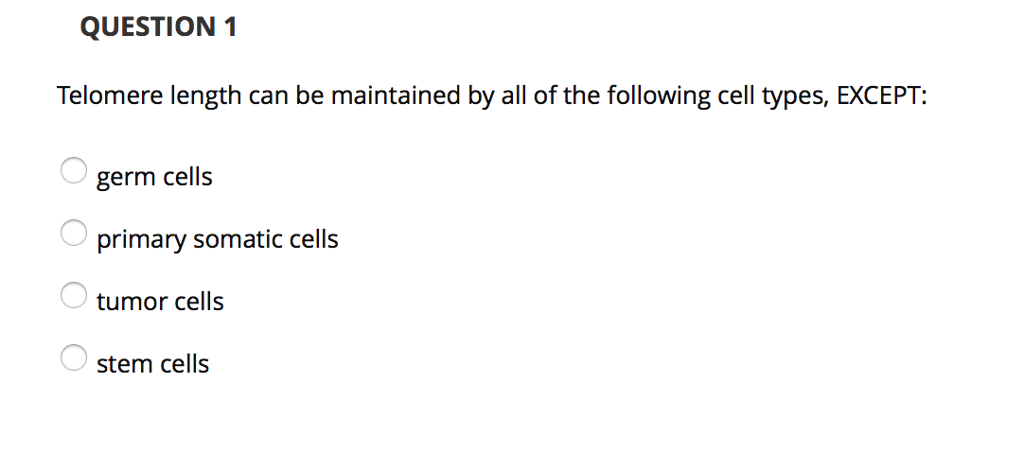 Question: Telomere length can be maintained by all of the following cell types, EXCEPT:  germ cells  primar...