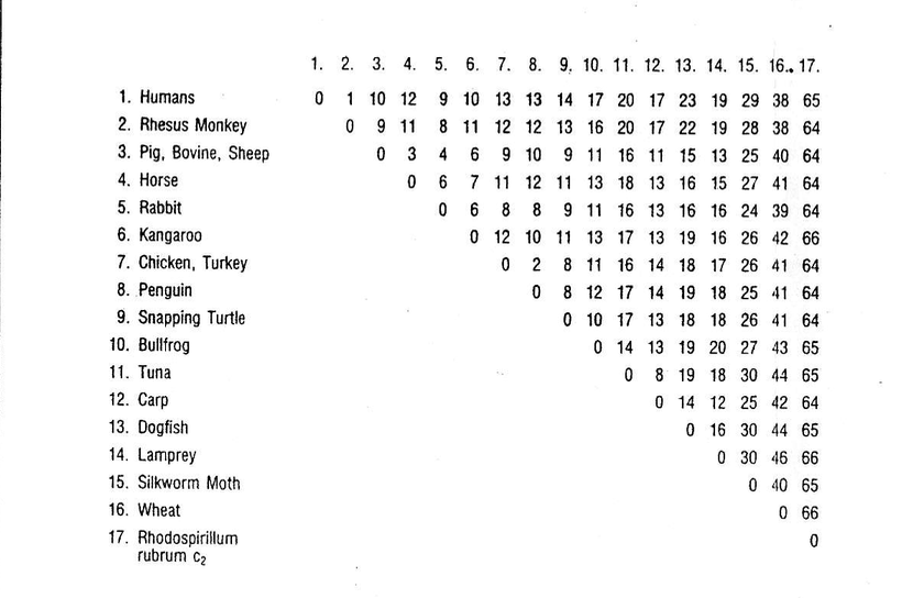 Bullfrogs niche picture