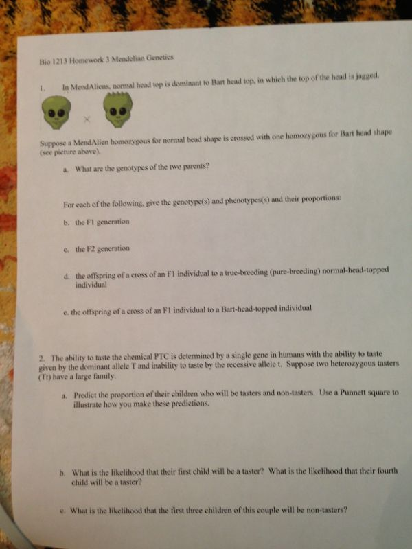 Homework help biographies