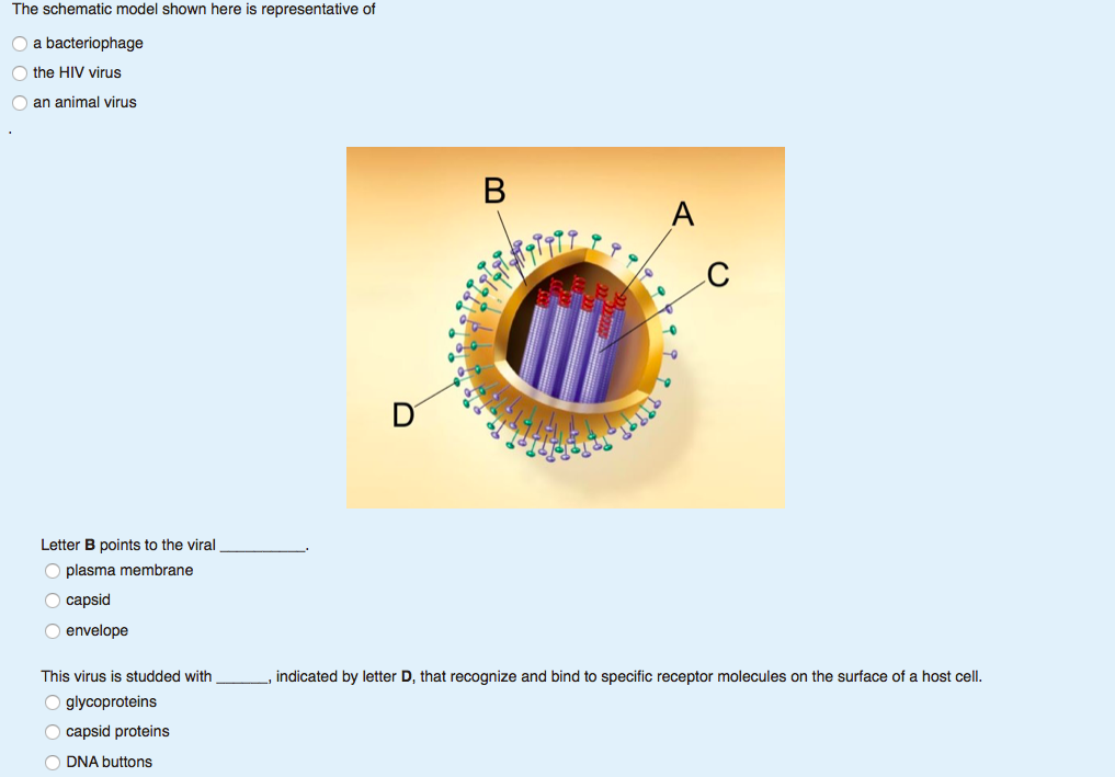 An animal 39s place essay 08 image