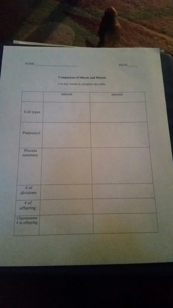 Question: Use key words to complete this table.