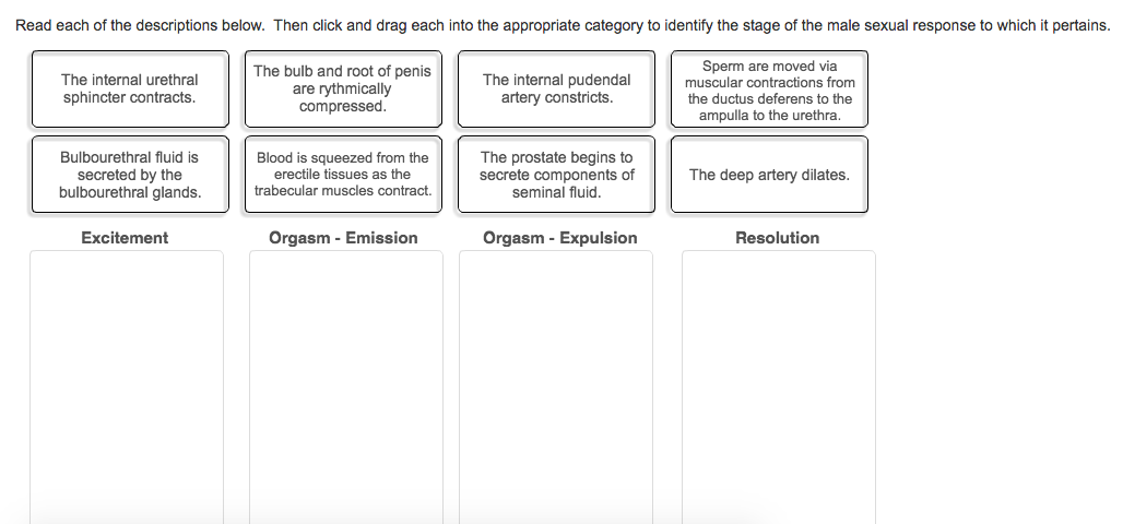 Question: Read each of the descriptions below. Then click and drag eachinto the appropriate category to id...