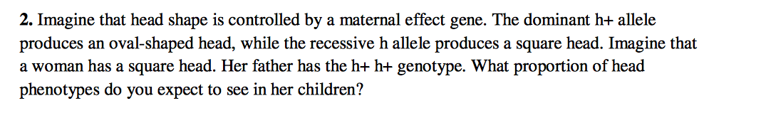 Question: Imagine that head shape is controlled by a maternal effect gene. The dominant h+ allele produces ...