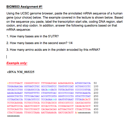 Question: Using the UCSC genome browser, paste the annotated mRNA sequenceof a human gene (your choice) be...