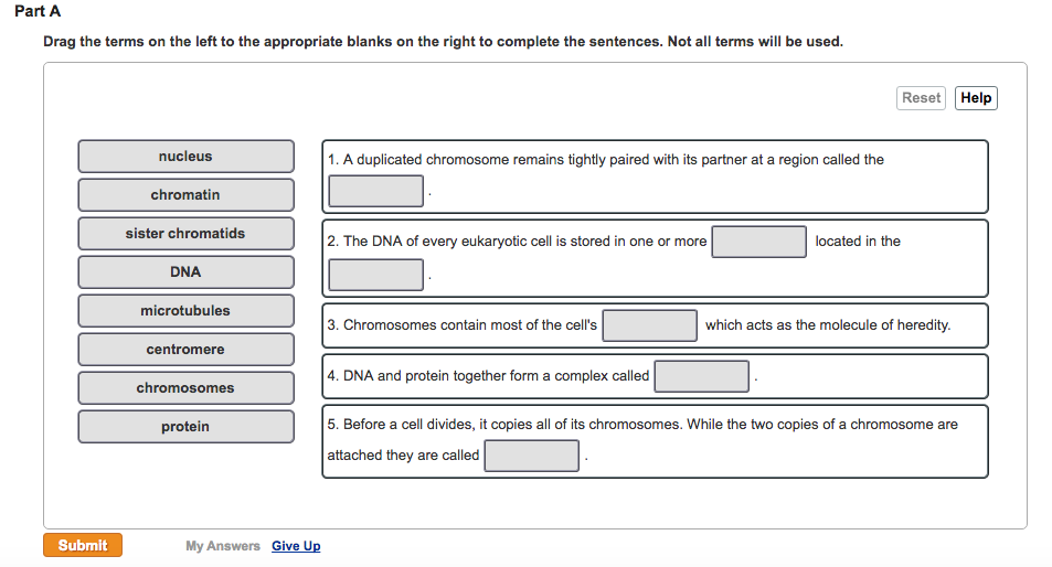 Question: Drag the terms on the left to the appropriate blanks on the right to complete the sentences. Not ...