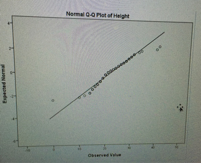 Short girl problems essay image