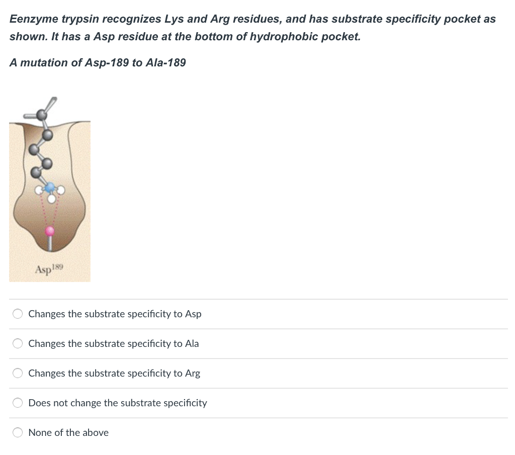 Question: Eenzyme trypsin recognizes Lys and Arg residues, and has substrate specificity pocket as shown. I...