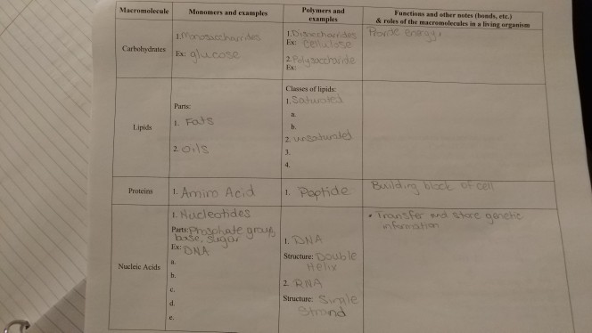 Question: Macromolecale Momomers and examplesPolymers and Functions and ether notes (honds, etc.) & roles o...