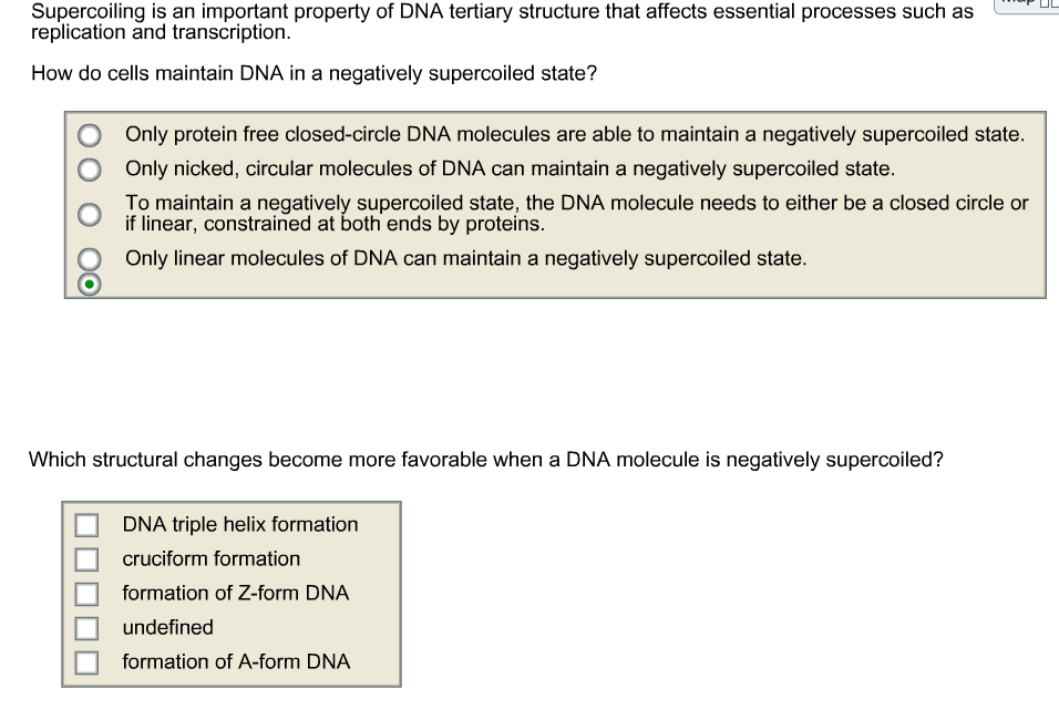 Question: Supercoiling is an important property of DNA tertiary structure that affects essential processes ...