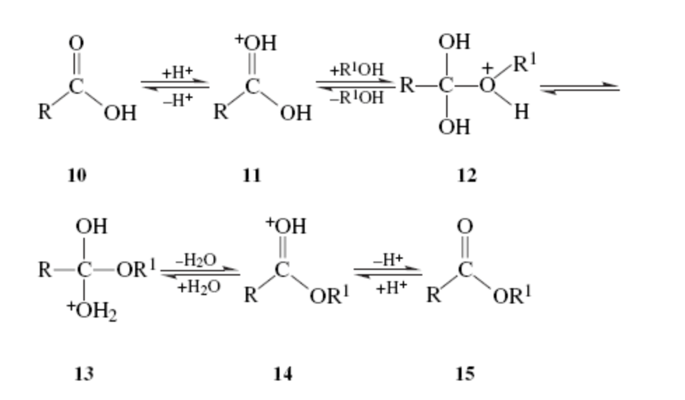 Fischer esterification h2so4 picture