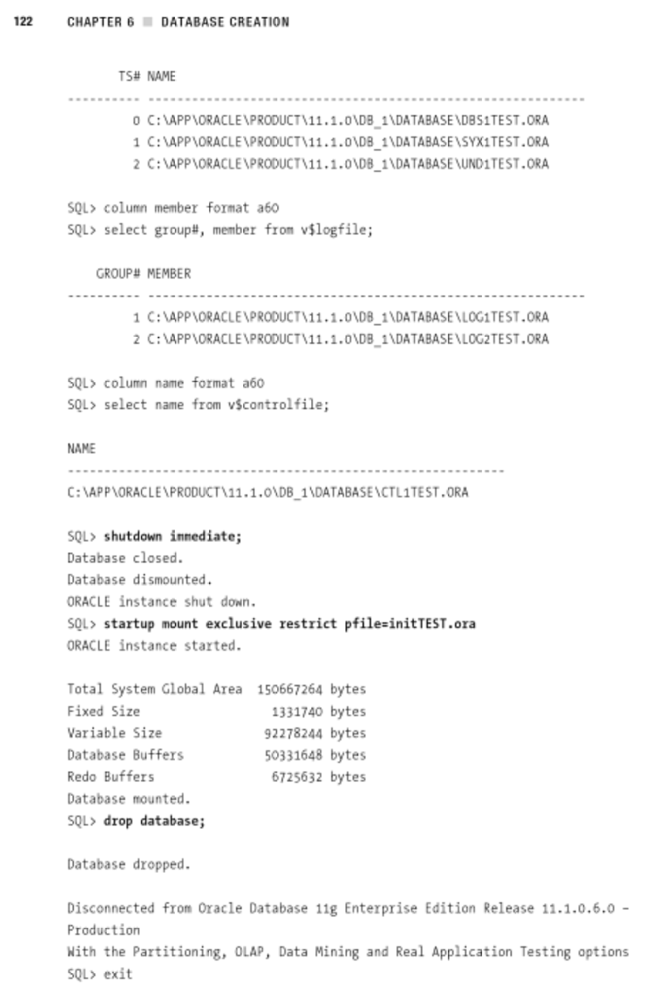 essay sample cae layout