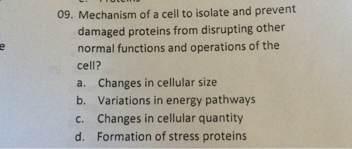 Question: Mechanism of a cell to isolate and prevent damaged proteins from disrupting other normal function...