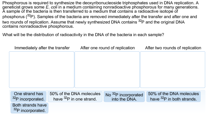 Solved: Phosphorous Is Required To Synthesize The Deoxyrib... | Chegg.com