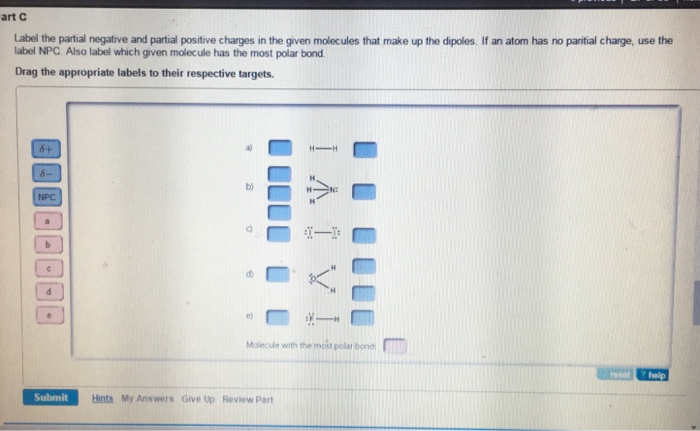 solved-label-the-partial-negative-and-partial-positive-ch-chegg