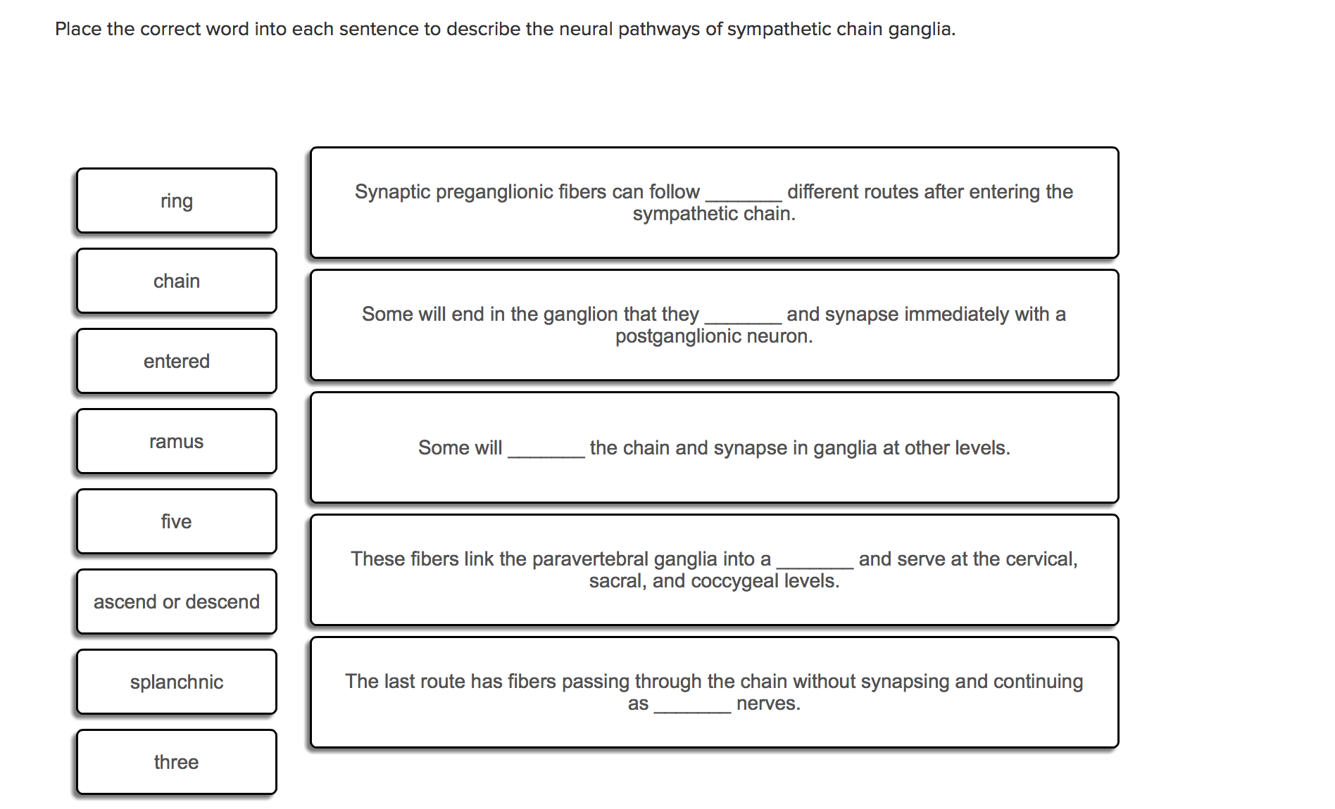 solved-place-the-correct-word-into-each-sentence-to-descr-chegg