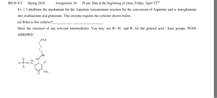 Question: Draw the mechanism for the Aspartate transaminase reaction for the conversion of Aspartate and  -...