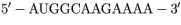 Question: Write out the amino acid sequence from the mRNA above. (Use thethree letter abreviations and sep...