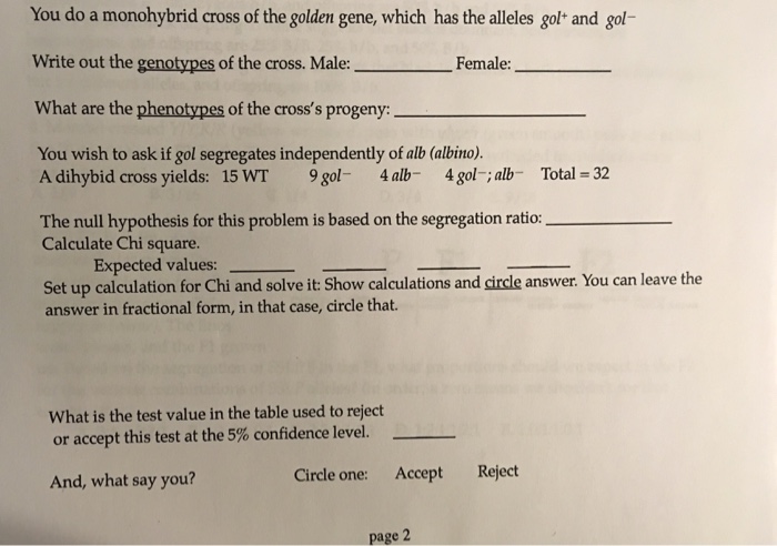 Question: You do a monohybrid cross of the golden gene, which has the alleles gol^+ and gol^-  Write out th...