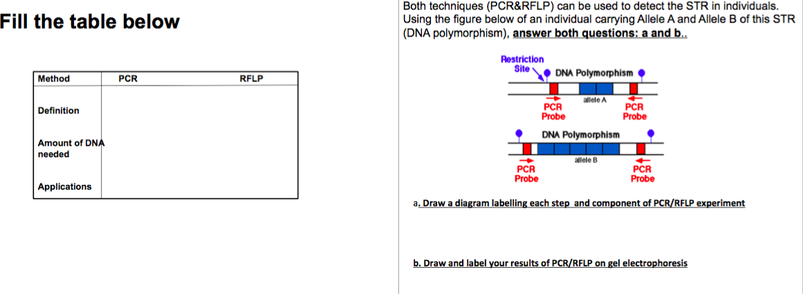 Question: EcoRi Cleavage Site1 ECORI Cleavage Site 2 EcoRi Cleavage Site 3 4 kb 5 kb DNA 1 EcoRi Mutated Cl...