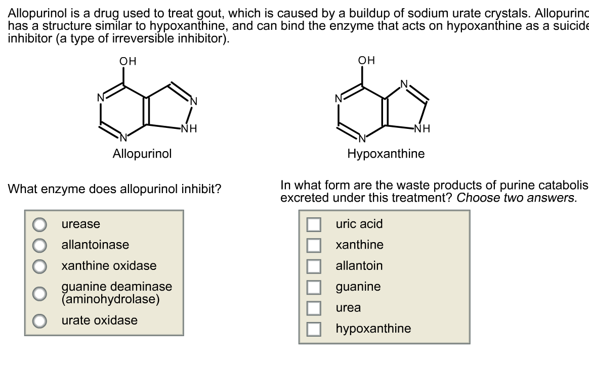 Solved Allopurinol Is A Drug Used To Treat Gout, Which Is