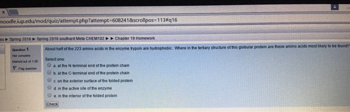 Question: About half of the 223 amino acids in the enzyme trypsin are hydrophobic. Where in the  structure ...