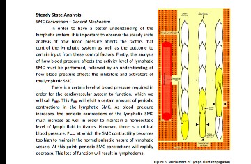 Question: Next, for steady-state analysis, write mathematicalexpressions and draw graphs, with proper rati...