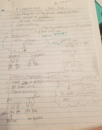 Question: I need help on creating the graph. I don't even know where tobegin!! help please