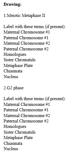 Question: 1. Meiotic Metaphase ?  Label with these terms (if present):  Maternal Chromosome #1  Paternal Ch...