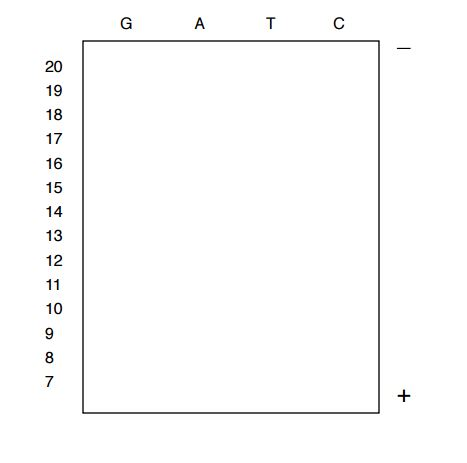Question: The primer and DNA template below are used for Sangersequencing.Draw the DNA fragments that wo...