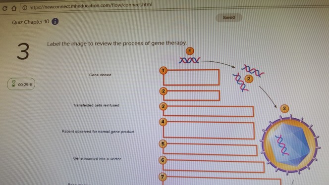 Question: Nnect.htm C ǜ https:/ Quiz Chapter 10 Label the image to review the process of gene therapy 3 0 ...
