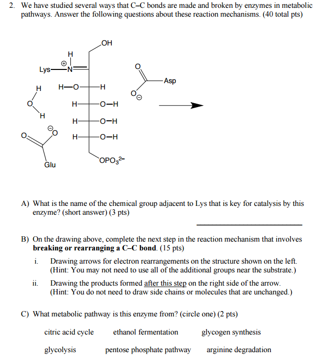 Question: We have studied several ways that C-C bonds are made and broken by enzymes in metabolic pathways....