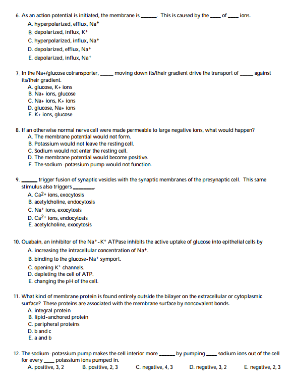 Question: As an action potential is initiated, the membrane is _____. This is caused by the _____ of _____ ...