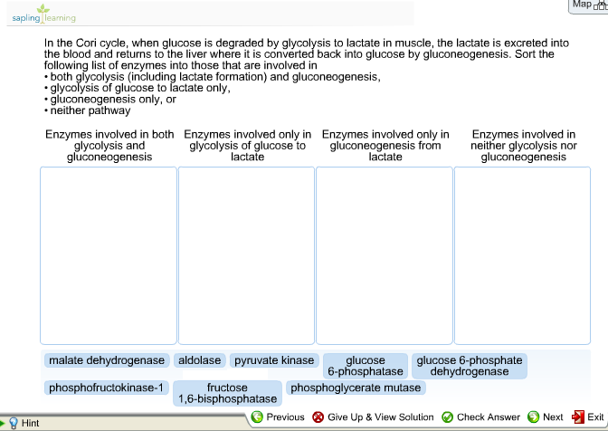 Question: Map sapling learning In the Cori cycle, when glucose is degraded by glycolysis to lactate in musc...