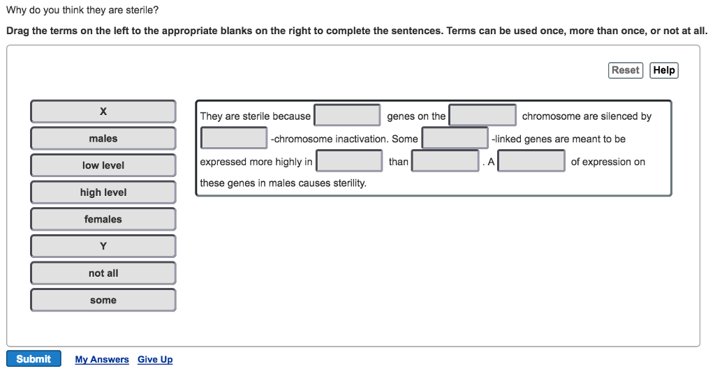 Solved Why Do You Think They Are Sterile? Drag The Terms