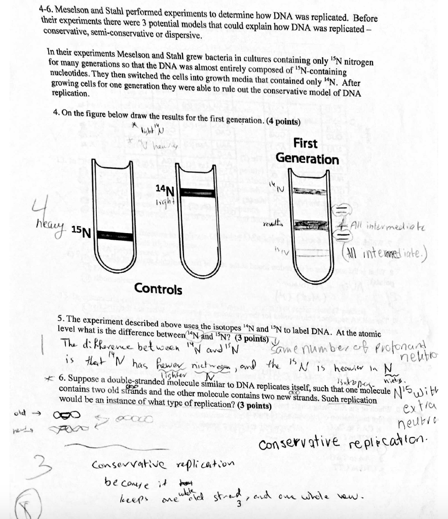 Homework help cell molecular biology